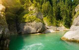 Blick auf einen klaren Fluss umgeben von grünen Bäumen und Felsen, ideal für einen Natururlaub in den Bergen.